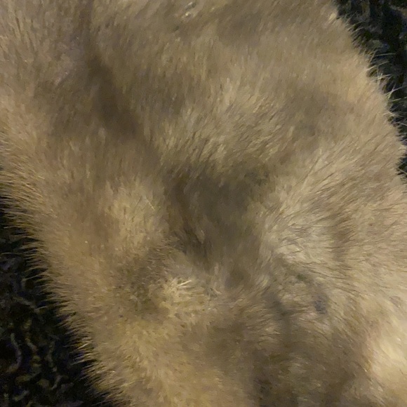 Vintage 60’s black astrakhan Persian lamb cropped jacket with mink collar - Picture 14 of 14